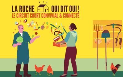 La ruche qui dit oui