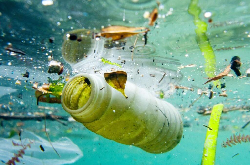 La liste des magasins sans emballage de wallonie